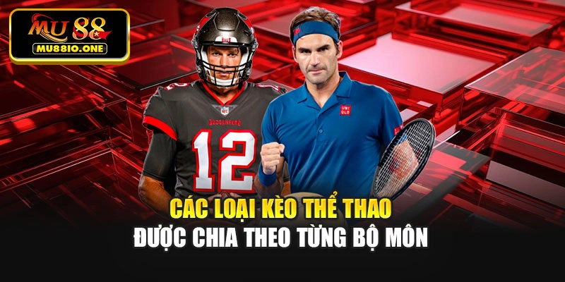 Các loại kèo thể thao được chia theo từng bộ môn