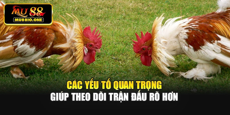 Các yếu tố quan trọng giúp theo dõi trận đấu rõ hơn