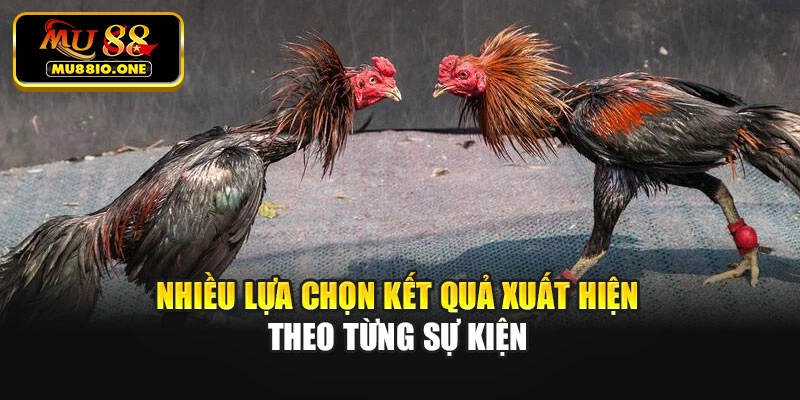 Nhiều lựa chọn kết quả xuất hiện theo từng sự kiện